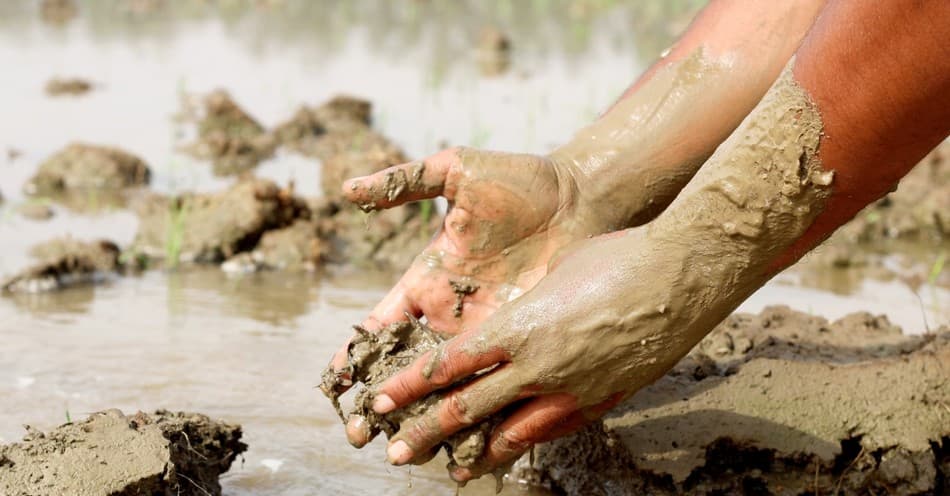 March 15, 26 – Fourth Sunday of Lent : God Spots the Forgotten